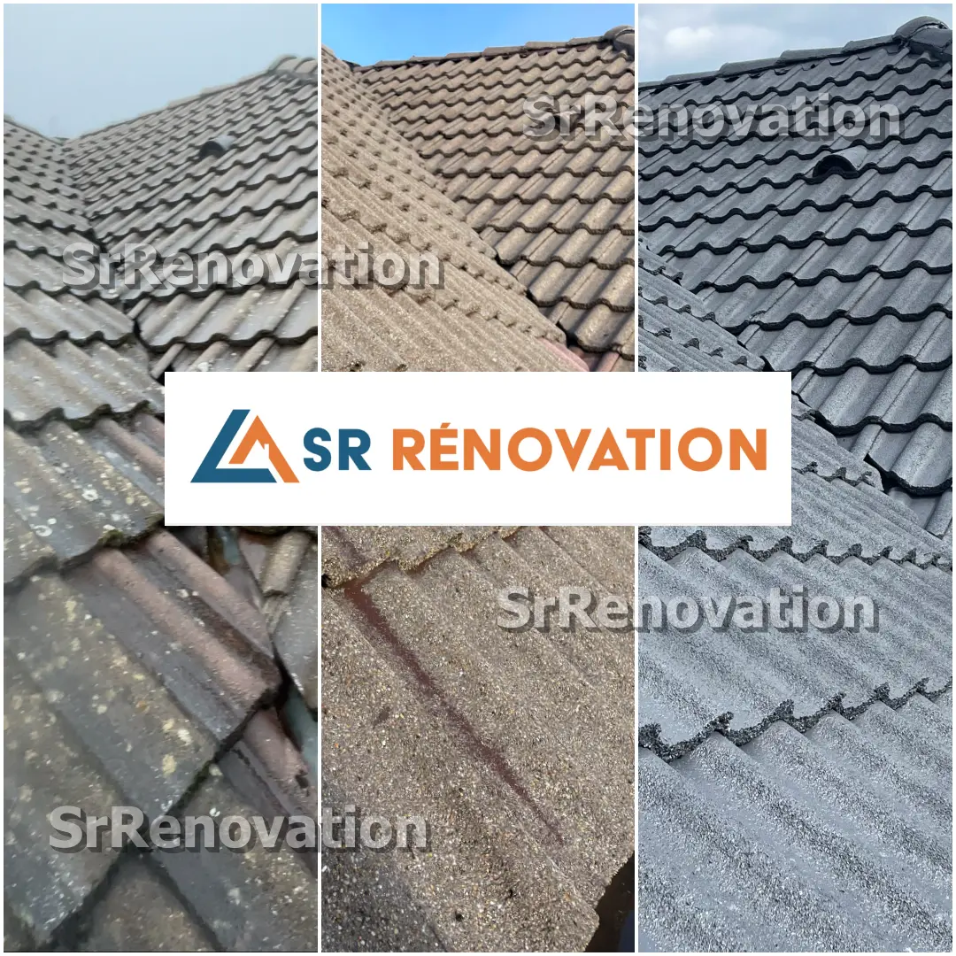 Exemple Peinture toiture et extérieure Salins-les-Bains