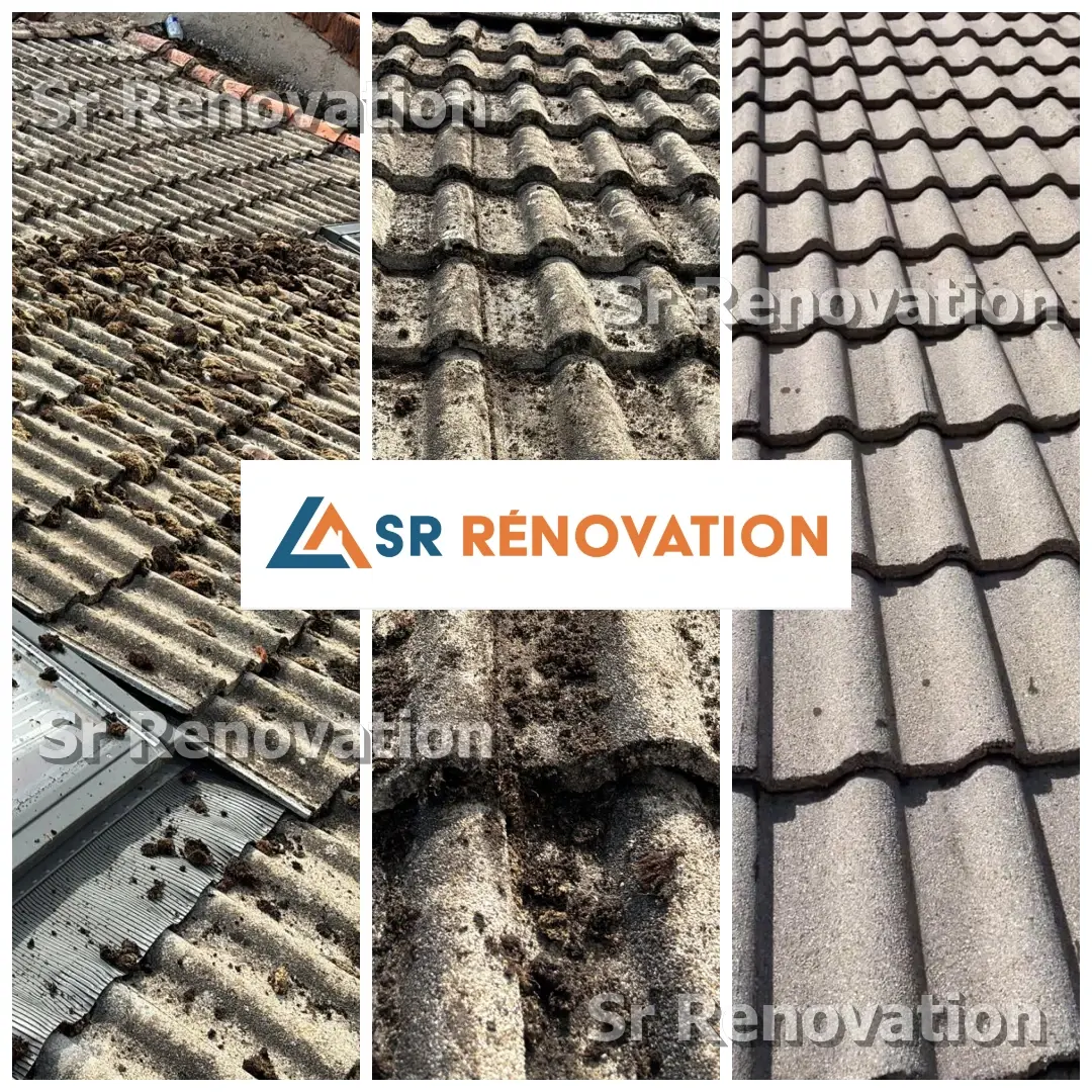 Rhabillage planches de rive (ALUMINIUM) à Saint-Amour - SR Rénovation artisan Jura