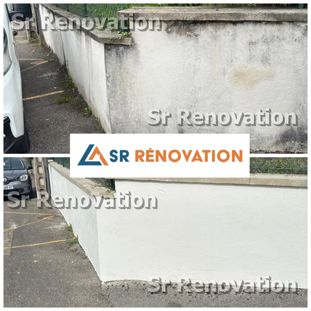 Exemple de peinture toiture et extérieure réalisé par SR Rénovation à Saint-Amour dans le Jura
