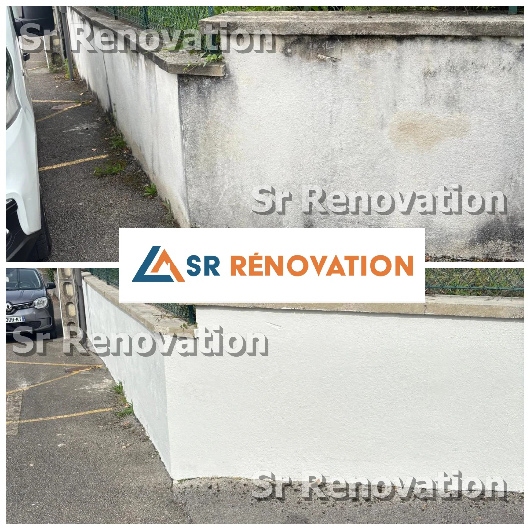 Exemple Peinture toiture et extérieure Lons-le-Saunier