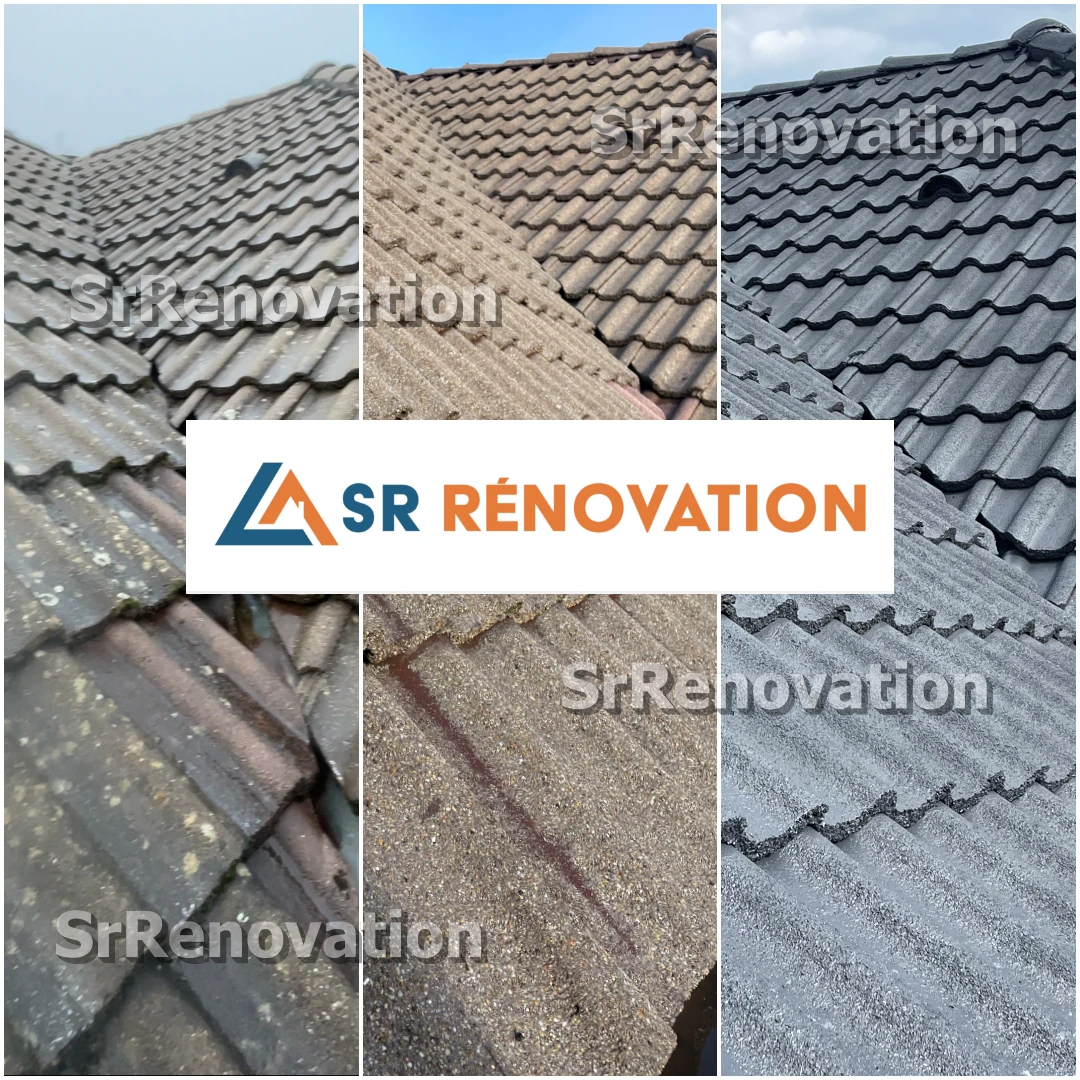 Exemple Nettoyage de toiture / Démoussage / Traitement hydrofuge Lons-le-Saunier