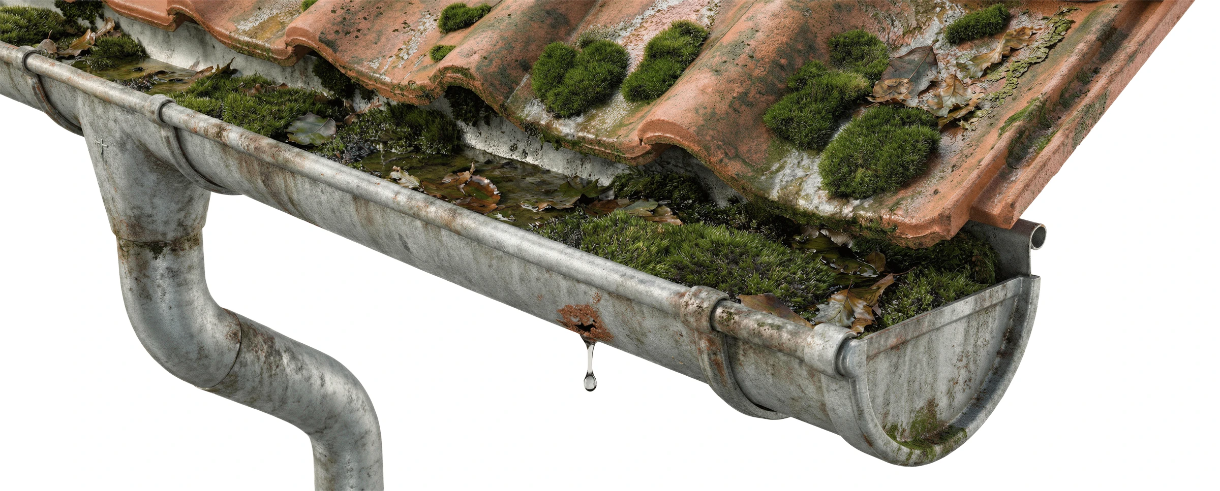 Gouttière bouchée - Mousse, eau stagnante, dégradation