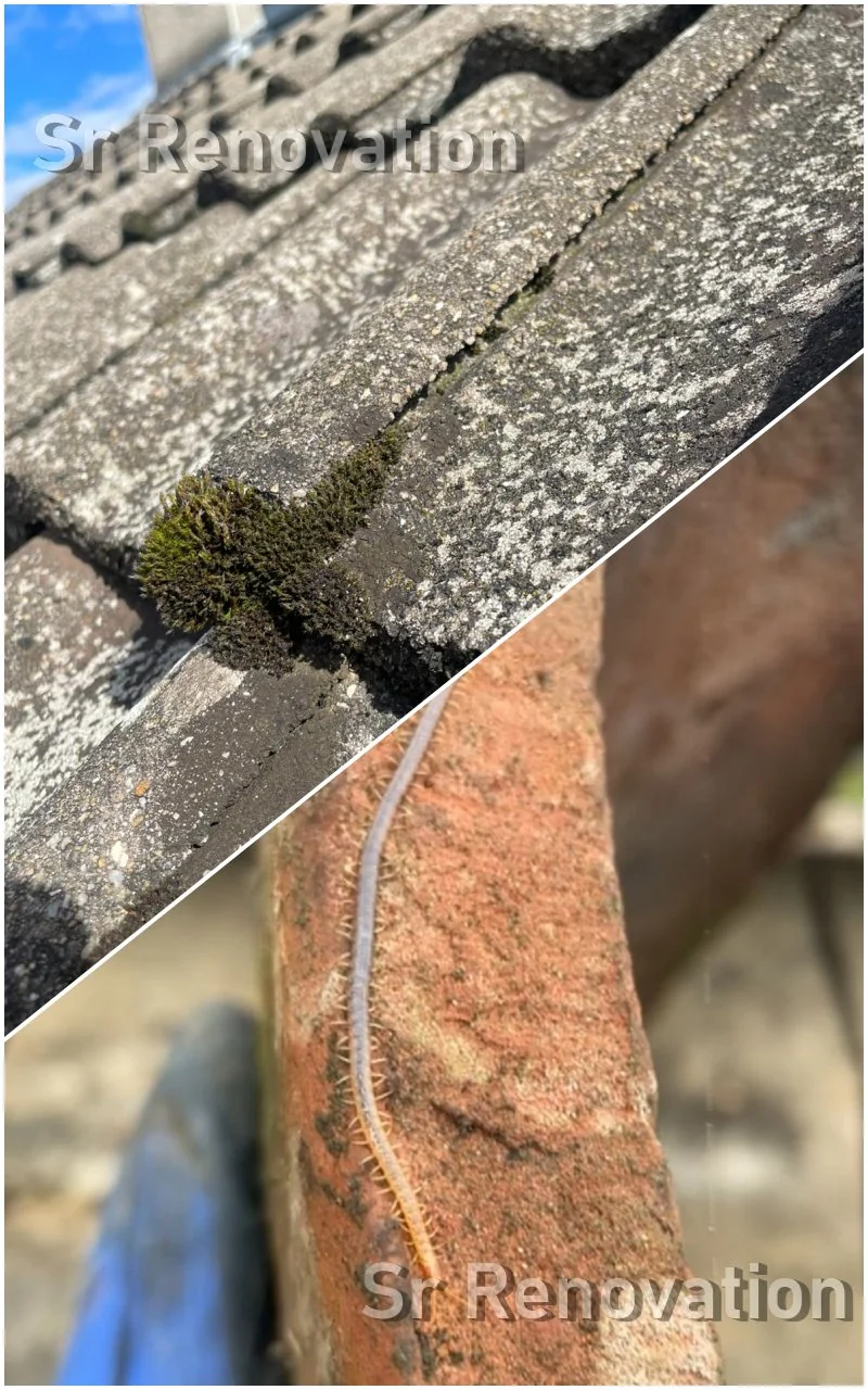 Le Piège de la Rénovation Forcée